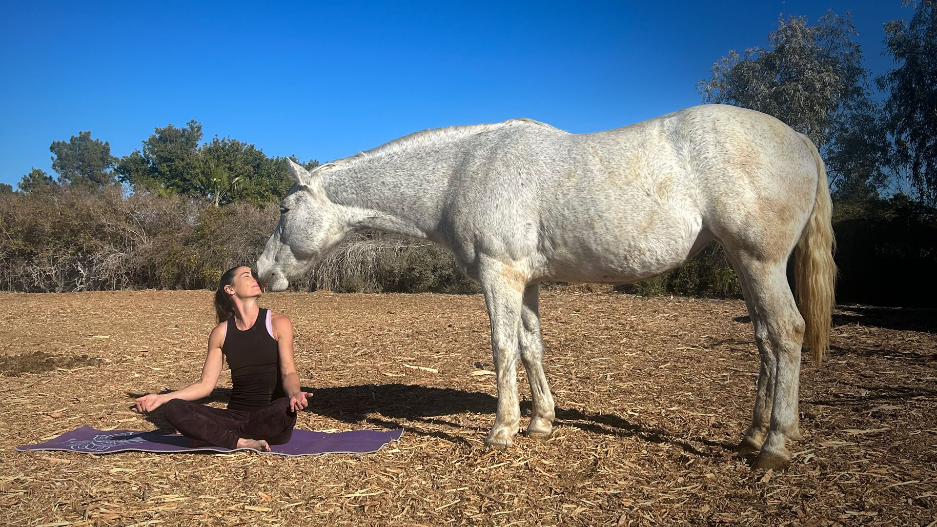 Yoga at the Ranch